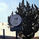 개으른세상 도그푸드 | 김포 야외애견카페 개으른세상 내돈내산 방문 후기🐶