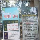 평창 밀브릿지및 발왕산 스카이워크 둘러보기 이미지