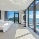 더레지아B 이미지