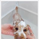 멍is뭔들 이미지