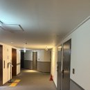 케니스테이 | [제주도 숙소] 서귀포 호텔 &#39;케니스테이&#39; 내돈 내산 솔직후기