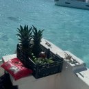 엘시엘로 | 칸쿤 액티비티 추천 코즈멜섬 엘시엘로 스노쿨링(흥정 없이 적당한 가격에 가보자고)