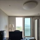 서재 | 리바트 듀얼모터 모션데스크 프로 후기 | 서재 컴퓨터책상 추천