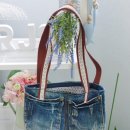 옷장속W