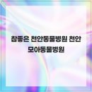 참좋은동물병원 | 참좋은 천안동물병원 천안모아동물병원