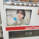 D+22~29 요시노야/텐노지동물원/빅쿠리돈키/토리키조쿠/마호로바포레스트/마라탕