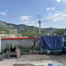 월오포레스트 이미지