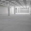 벨리스크린 이미지