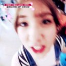 솜댕 이미지