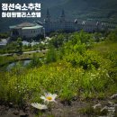 [강원도] 정선 숙소 하이원 팰리스 후기, 하이원 하늘길 트레킹코스