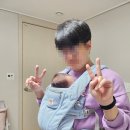 더옴니&파트너스 | 에르고 베이비 아기띠 옴니디럭스 메쉬 / 힙시트 알타 / 개월별 사용후기