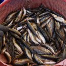 여러가지장터 이미지