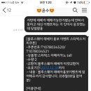 레베카 윤