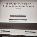 용산-이촌-2077 이미지