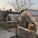 코티지 | 제주 한림 흑돼지 맛집 <코티지 그릴> 캠핑 식당 후기