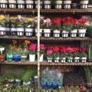 종로41길 이미지