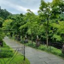 화담메디 이미지