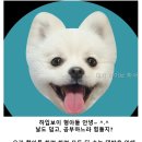 대치하이브학사