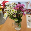 화비꽃방 이미지