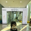 국립김해박물관 어린이박물관+히타이트展+대성동고분박물관+스시천(아기랑 여행)
