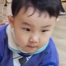 그림동화in호반어린이집 이미지