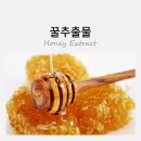 꿀벌(Honey B 이미지