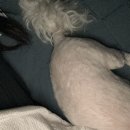 고운중학교버스정류장 | 덤디디 덤