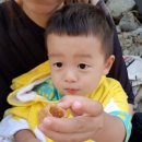 안골민박 이미지