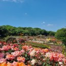 성곡로57번길 이미지