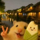 리더학원