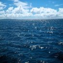 메기의 추억 이미지