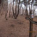 제193 차 산행 - 3월 5일 - 창녕 관룡산(754m) 이미지