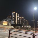 선유과선교 이미지