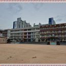 화성초등학교 이미지