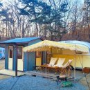 어반티지 글램핑 카라반 펜션 이미지