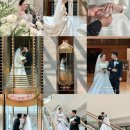 사파이어호텔 | 롯데호텔 사파이어볼룸 아이폰스냅 촬영 후기