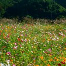 낙동강변10 이미지