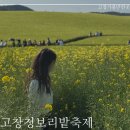 선동마을회관 | 고창 청보리밭 축제 주차 만차 먹거리 (차버리고 걸어감)
