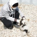 영신상사 이미지