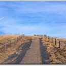 시선목장 이미지