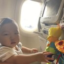 ㈜나라렌터카 우산영업소 | 7개월 아기와 4박5일 제주여행 1일차 : 김포공항 식당가 / 국수나라 / 롯데호텔 산책로