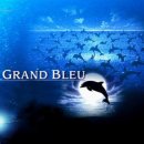 그랑블루(grand bleu) 이미지
