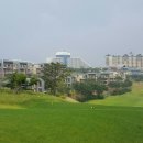 델피노숲 이미지