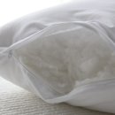 클린까사 - 파주시 송학2길 25-2 | 클린까사