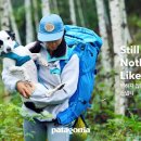 진스냅