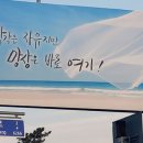 대장동 이미지