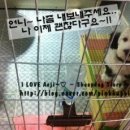 애지약국 이미지