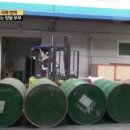 꿀벌부부