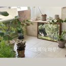 봄날마트 | ෆ | 타틀르 두바이 스프레드 / 와플대학두바이와플 / 봄날엔 요거꿀떡 / 포켓몬빵 / 프루팁스 / B마트후기