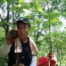 신바람 모텔 이미지